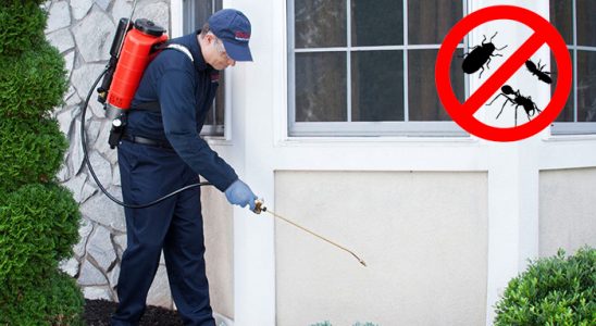 Çıldır Bit İlaçlama böcek ilaçlama ve haşere kontrolü — ilaclama-tr.com